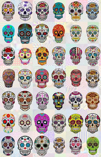 Types of Skulls by Steven Kingsbury