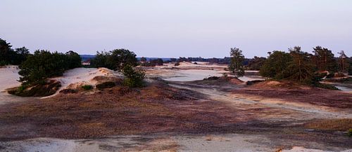 Kootwijkerzand, Kootwijk Pays-Bas
