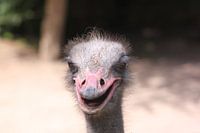 Smile!