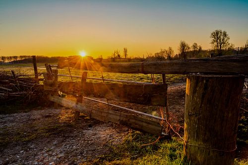 Zonsopkomst Bieslandse Polder Delft