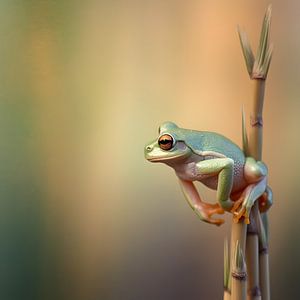 Curious frog