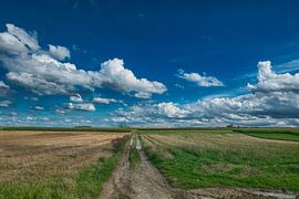 Cloud Drift by Jo Beerens