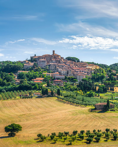 Casale Marittimo Village and Olive Groves, Tuscany, Italy by Stefano Orazzini