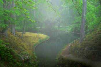 Riviertje op Landgoed Elswout.