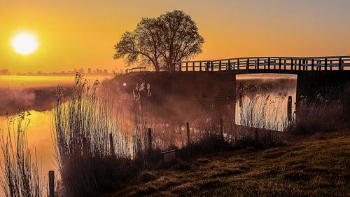 Landschap bij Winsum, Friesland, Nederland.