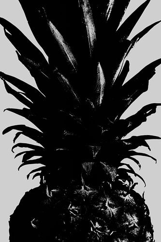 Ananas bw