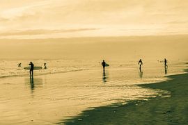 Surfen in Scheveningen