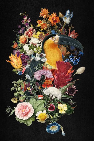 Yes, Toucan par Marja van den Hurk