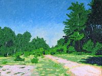 kennemerduinen