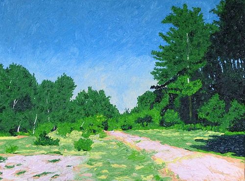 kennemerduinen