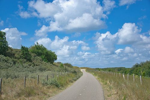 Pad door de duinen