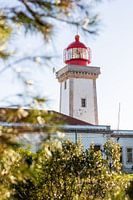 Vuurtoren in Portugal - Alfanzina
