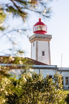 Vuurtoren in Portugal - Alfanzina van Lydia