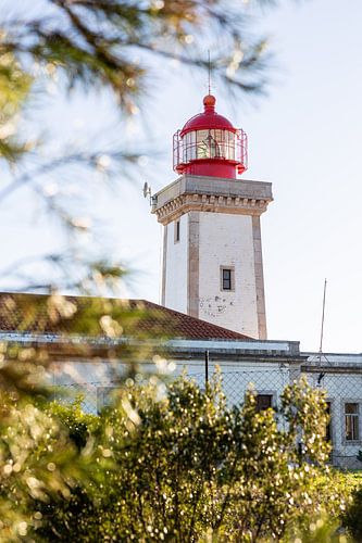 Lighthouse in Portugal - Alfanzina