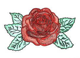 Rose ( drawing ) by Jose Lok