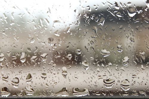 Regendruppels op het raam