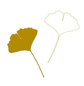 Blad van Ginkgo Biloba of Tempelboom, abstract en minimalistisch I van Caroline Drijber