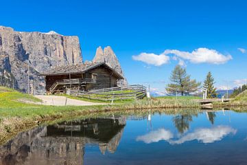 Berghutten op de Alpe di Siusi in de Dolomieten van Dieter Meyrl