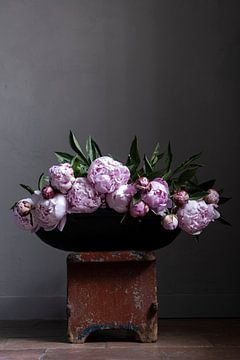 Peonies on red bench by Affect Fotografie