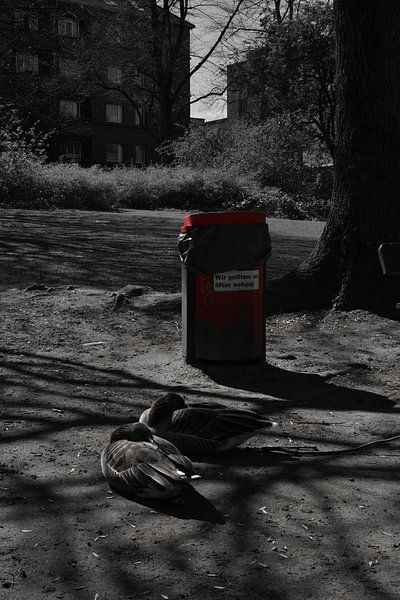 Paar ganzen van Elbkind89