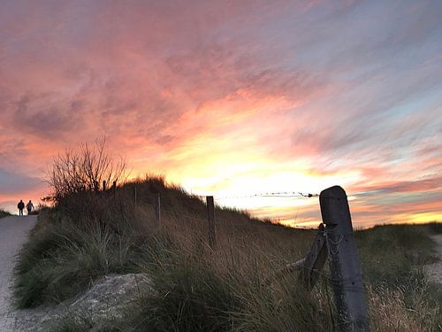 Te land, ter zee en in de lucht