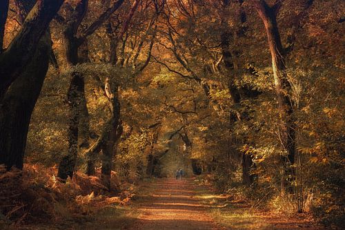 Herfst