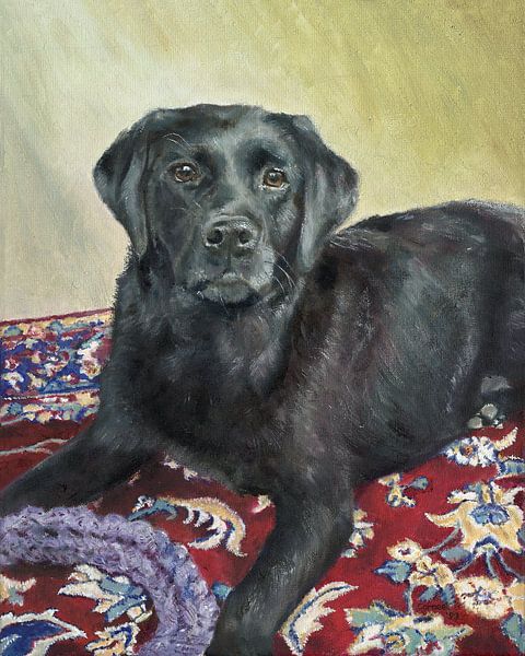Labrador Retriever noir Rosie par conny-van-gaans