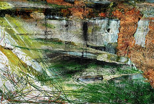 Het roodborstje bevrijden