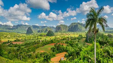 Panorama van de prachtige vallei van Viñales, Cuba van Christian Schmidt