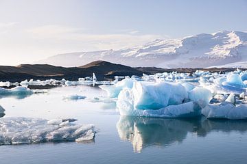 Jökulsárlón gletsjermeer IJsland van Ype Koopman