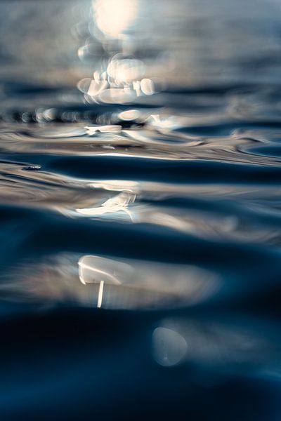 Reflets de la mer par Björn van den Berg