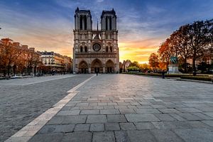Notre Dame Parijs bij zonsopgang