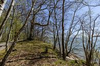 Rad- Wanderweg  entlang am Naturstrand in der Goor von GH Foto & Artdesign Miniaturansicht