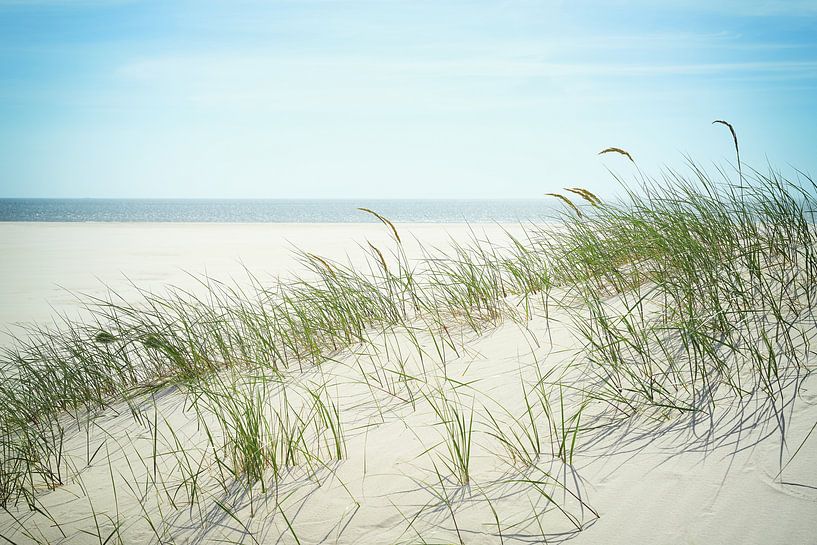 Amrum - une dune dans le vent d'été par Reiner Würz / RWFotoArt