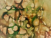 Zellen 2 - grün braun