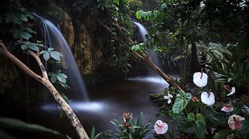 Le rêve malaisien Cascades sur R Smallenbroek