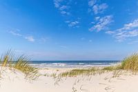 Beach Texel near De Koog
