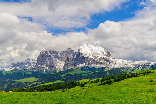 Seiser Alm of Alpe di Siusi in de Dolomieten in het voorjaar