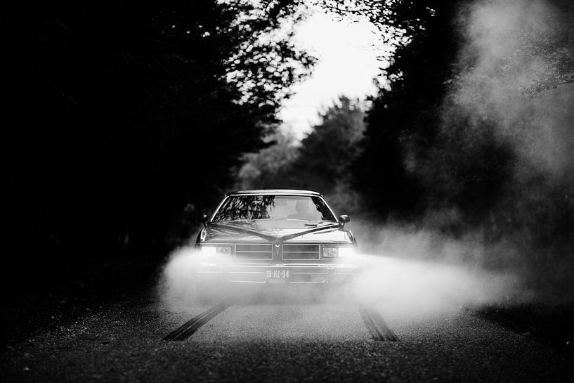 Let's waste time chasing cars... van Linda Hutten