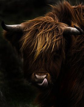 Das Porträt eines Schotten