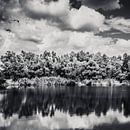 Zwart-wit landschapsfotografie van JBJart Justyna Jaszke thumbnail