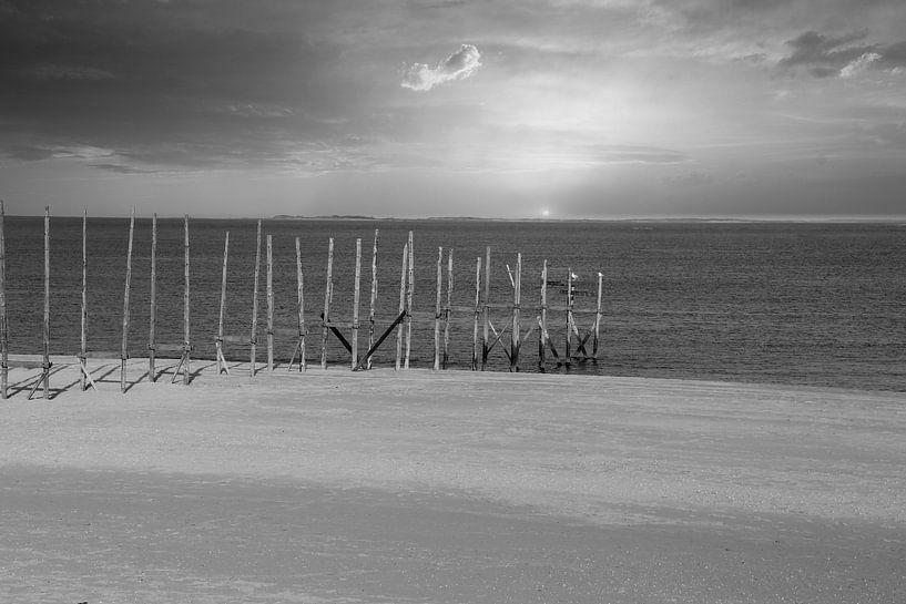 Texel by Jose Lok