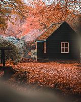 Cabane d'étang sereine dans une forêt d'automne