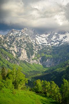Vellacher Kotschna-vallei in de Kamnik Savinja Alpen in Oostenrijk van Sjoerd van der Wal Fotografie
