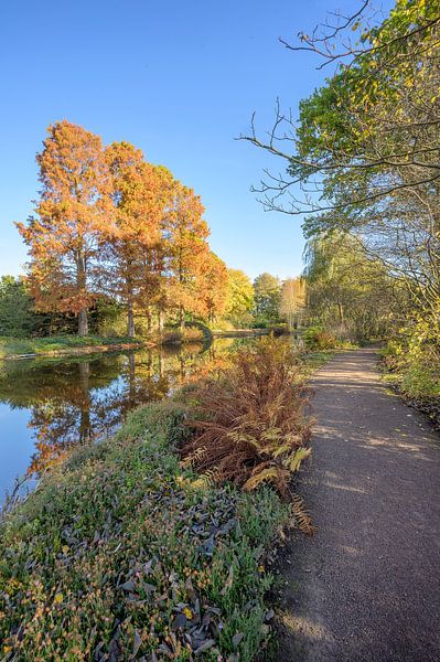 Herbst in Amstelveen von Peter Bartelings