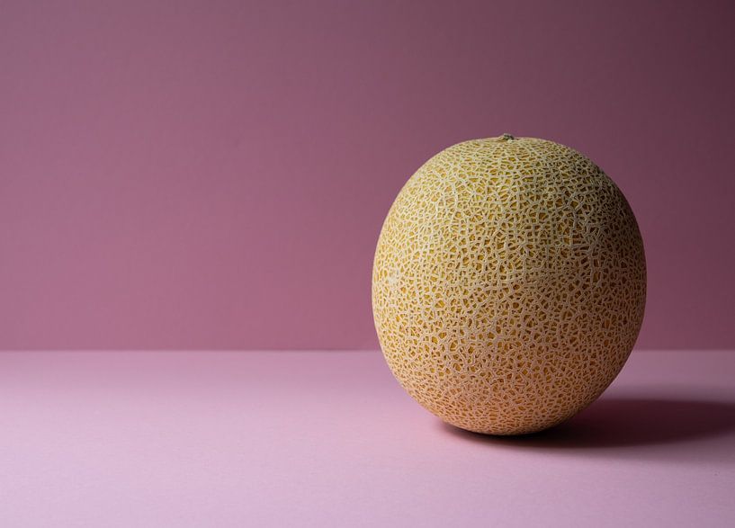 Galia-Melone von Cor Goedhart