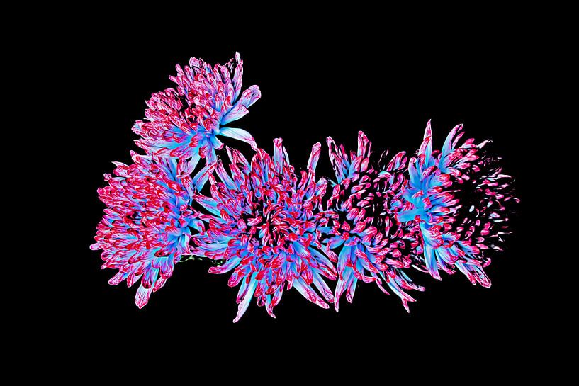 Blumen Stillleben bunt, Digitale Kunst von Senta Bemelman