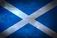 Schotse vlag Saltire van Schotland Saint Andrew's Cross van Mike Maes thumbnail