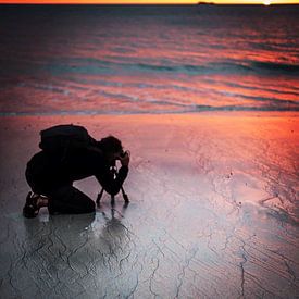 Vincent Tollenaar profielfoto