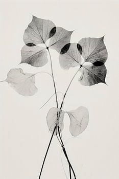 Transparante Botanische nr. 2